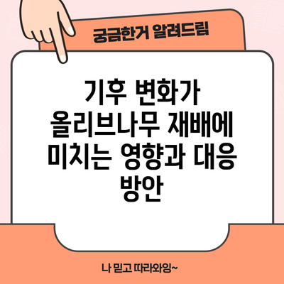 기후 변화가 올리브나무 재배에 미치는 영향과 대응 방안