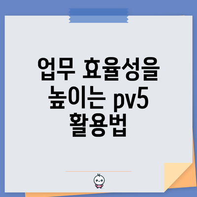 업무 효율성을 높이는 pv5 활용법