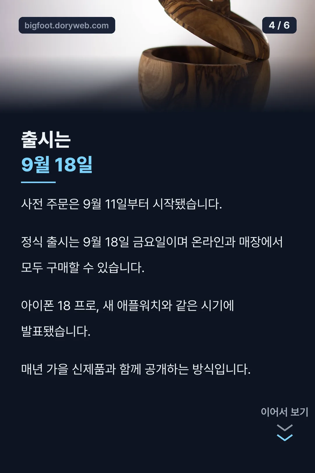 출시 일정 안내