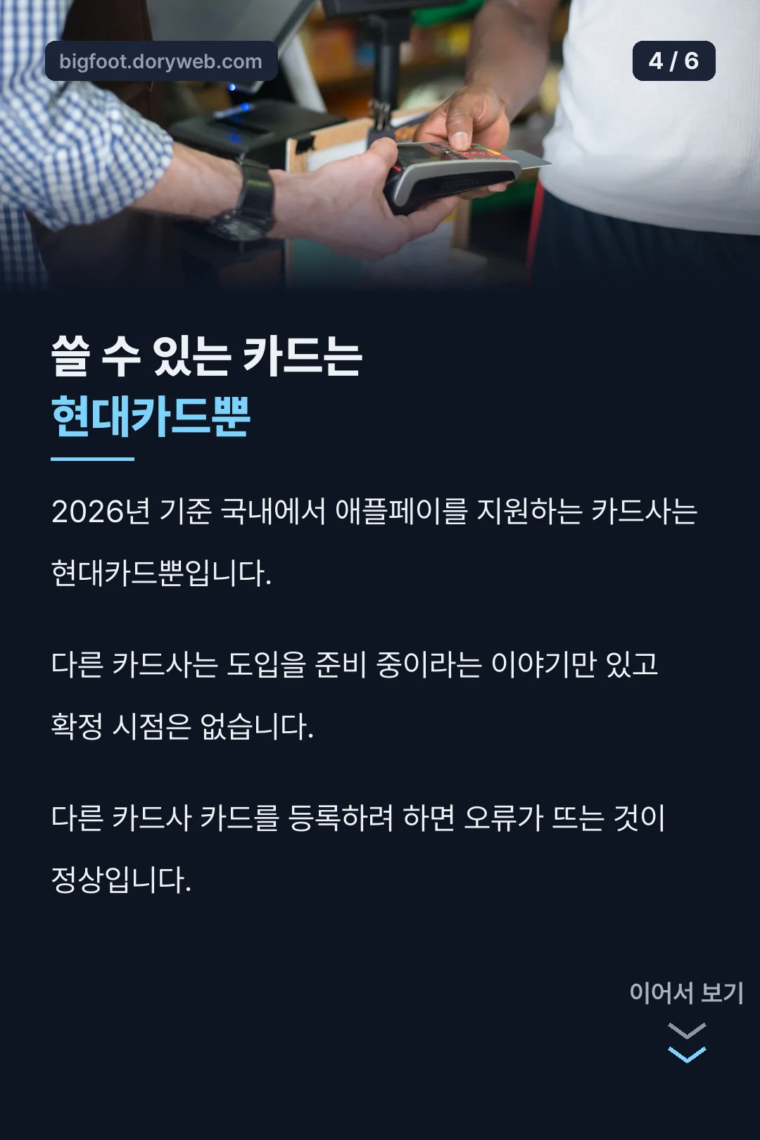 국내 지원 카드사